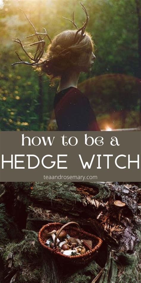 The hedge witch
